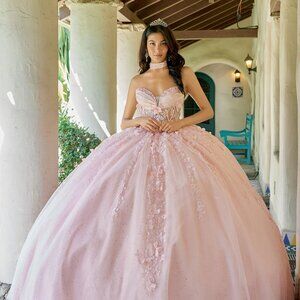 New Long Blush Quinceanera Dress w/ Oversized Back Bow & Floral Motif JT1497J